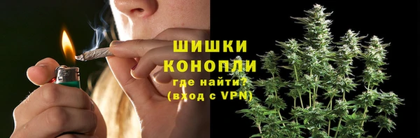 стаф Баксан