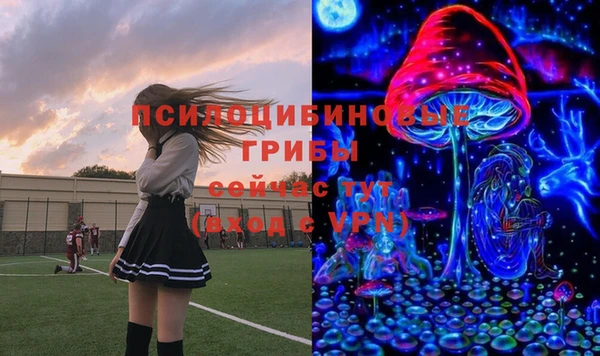 стаф Баксан