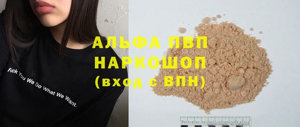 стаф Баксан