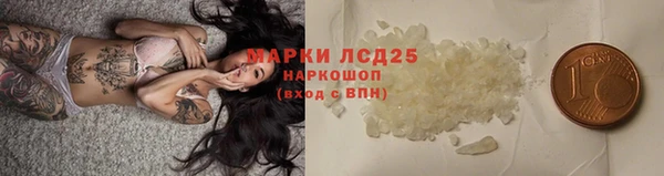 стаф Баксан