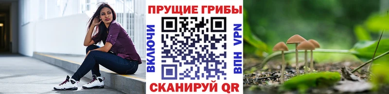 Псилоцибиновые грибы Psilocybine cubensis  МЕГА ONION  Яхрома  купить наркотик 